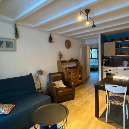Appart 50M2 A Villard-De-Lans, 6 Pers, 2 Ch, Balcon, Ascenseur - Fr-1-515-143 ภายนอก รูปภาพ